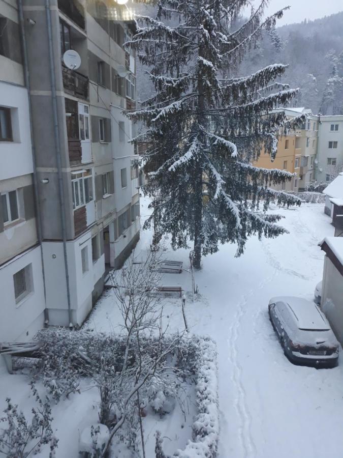 Apartament Aurora Slănic-Moldova Zewnętrze zdjęcie