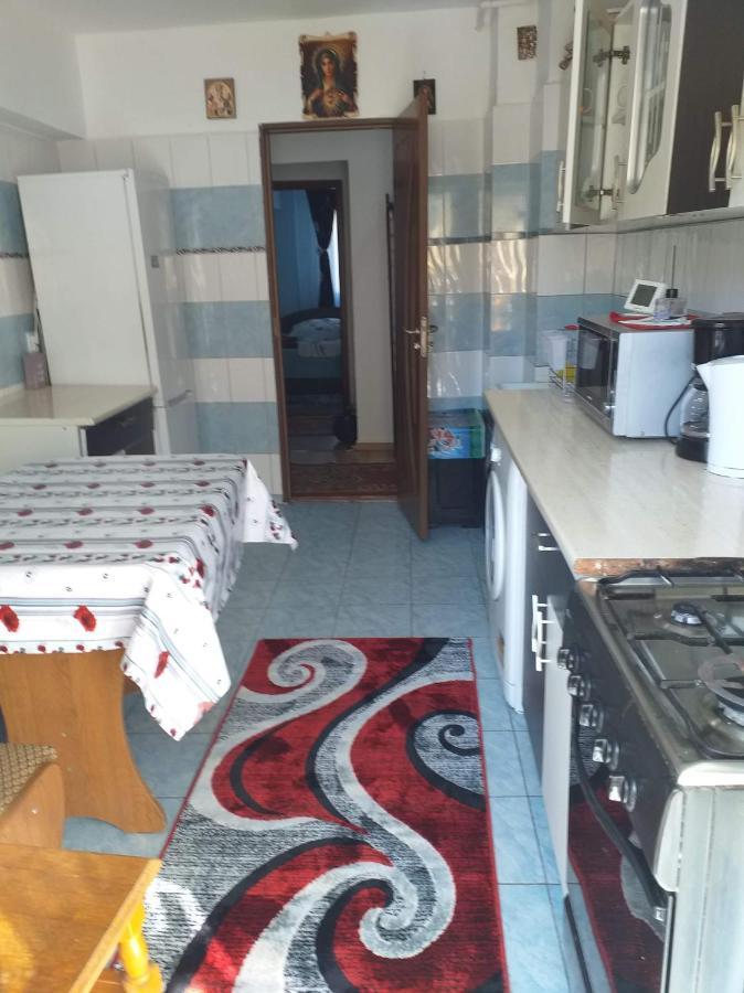 Apartament Aurora Slănic-Moldova Zewnętrze zdjęcie