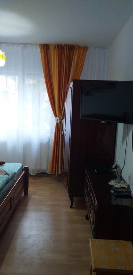 Apartament Aurora Slănic-Moldova Zewnętrze zdjęcie