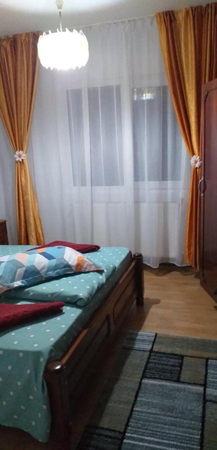 Apartament Aurora Slănic-Moldova Zewnętrze zdjęcie